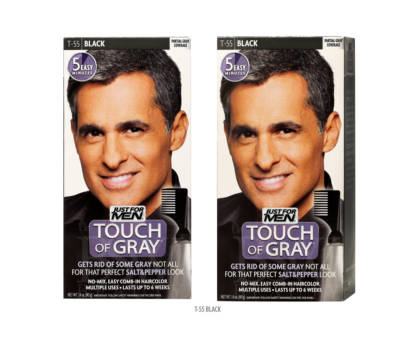 JUST FOR MEN TOUCH OF GRAY - 2 COLOR